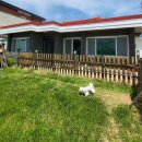 하모로민박 이미지