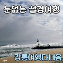 공원마트 | 설경 보러 강릉여행 BUT 눈이 없는