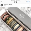 무니스(moonies)
