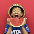 MTA태양태권도장 이미지