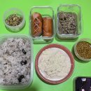 별이와개똥이 | 4월 주절주절