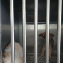 삼남매목장 2 이미지