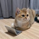 651 이미지