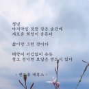 정녕 이미지