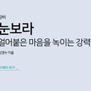 닷넷피아