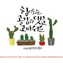 씨앤씨치킨 이미지