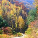 수산리-3 이미지