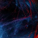 빛과 사진 이미지