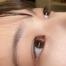 트레졸리 이미지