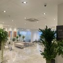 삼성본프라임정형외과의원 이미지