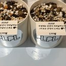 피엘피 이미지