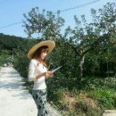 대본농장 이미지