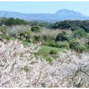 월산목장(2) 이미지