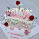 2683 | 마곡 주문제작케이크 “쏘니니케이크“ 가격 당일후기 생일레터링케이크 추천