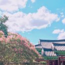 라온 영 이미지