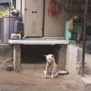 금수저은수저 이미지