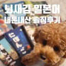 29 | 뇌새김 일본어 후기 내돈내산｜학습지 29권 구성부터 가격·단점까지