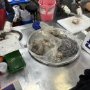 지동목장 이미지