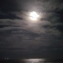 달빛바다