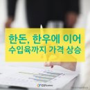 코이파트너스