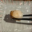 [금천구] 숙성회 맛집 &#39;진케이&#39; 후기 가산동 술집