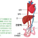 골격근 위축 당뇨환자에 &#39;십전대보탕&#39; 이미지