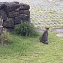 하도리움 제주독채 감성숙소 이미지