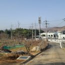 연강나룻길 C코스 이미지