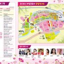 코스모스나이트 - 보은군 법주사로 258-13 | 코스모스나이트