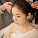 데이그래피 이미지