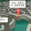 두억서 네이버블로그