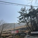 창원 휴양림 캠핑 리조트 네이버블로그