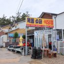 옥돌포레스트 네이버블로그