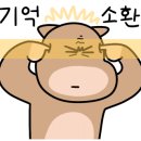 하니비어&와인