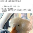 오리박사 이미지