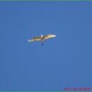 직지사천 이미지