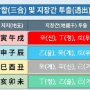 삼형설계 | 토 오행, 진술축미의 개고에 대한 단상 - 토의 고지는 언제 열리는가?