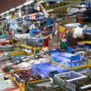 농수산물 이미지