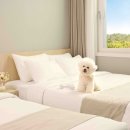 ㈜한화리조트 이미지