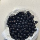 아로니아 | 고창 아로니아, 줄기 제거 산지 직송 아로니아 추천 후기!