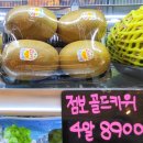 블루웨일더후르츠 여수웅천점, 여수 웅천 과일가게 과일바구니 주문 예약