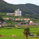 농가맛집 어부림 이미지