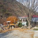 월악산 별장펜션 네이버블로그