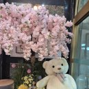 태백마트 | 태백여행 / 태백호텔 / 내돈내산 후기