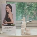 소담 인셀덤