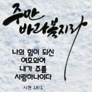 샬롬 이미지