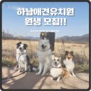 베버리 독스 이미지