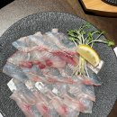 7224 | 대구 남산동 회 맛집 추천 어선당 모듬회•생새우 후기