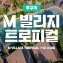 엠(M)마트 이미지