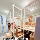 치킨매니아 파주운정점 | 놀이방이 있는 치킨집 치킨매니아 파주운정점 내돈내산 후기